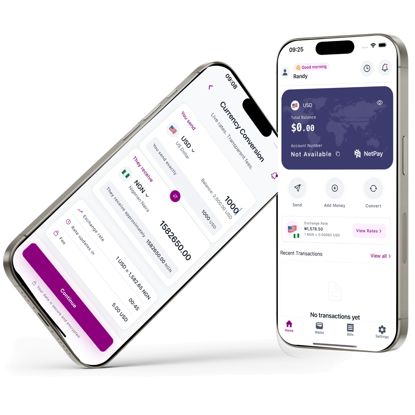 NetPay dashboard